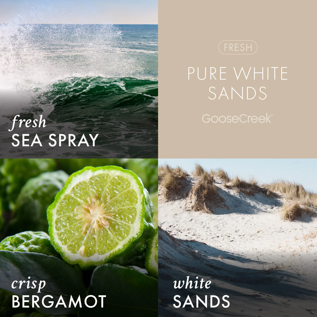 Pure White Sands Lush Foaming Hand Soap - Image 3